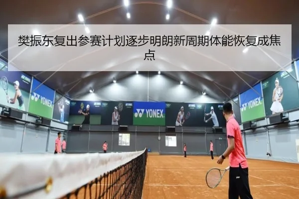 樊振东复出参赛计划逐步明朗新周期体能恢复成焦点